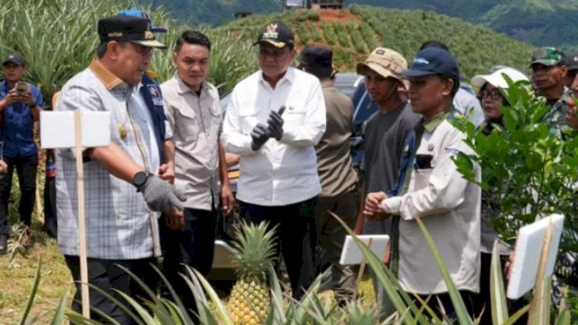 TIM Penyidik Tindak Pidana Khusus (Pidsus) Kejati SulSel, Periksa eks Pj Gubernur SulSel Sebagai Saksi Dugaan Kasus Bibit Nenas 60 Milyar