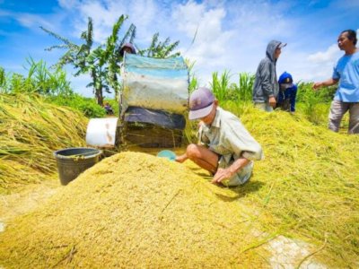 Bulog Didorong Perkuat Peran Penguasaan Stok untuk Kendalikan Harga Pangan