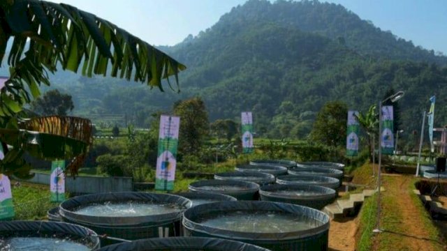 Pupuk Subsidi Pembudidaya Ikan Harus Tepat Sasaran