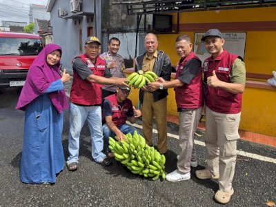 Realisasikan Ketahanan Pangan, Kelurahan Bitowa Panen Pisang Cavendish di Lahan Urban Farming
