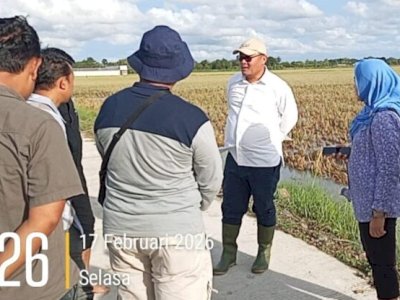 Banjir Terjang Grobogan dan Demak, Kementan Gerak Cepat Selamatkan Produksi Padi