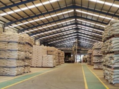 Harga Pakan Turun, Kementan Pastikan Biaya Produksi Peternak Makin Efisien