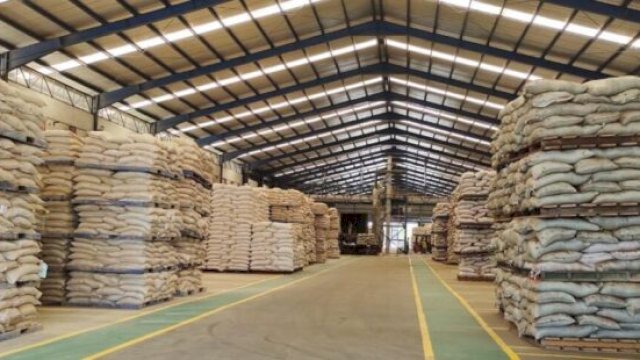 Harga Pakan Turun, Kementan Pastikan Biaya Produksi Peternak Makin Efisien