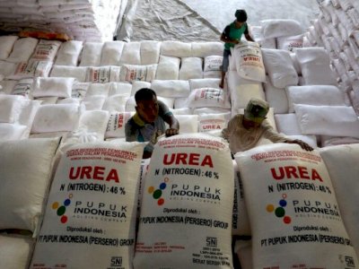 Pemerintah Perkuat Sistem Distribusi Pupuk Subsidi, Targetkan Efisiensi Anggaran 20 Persen