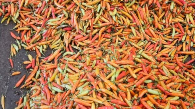 Stok Cukup, Harga Stabil, Lebaran 2026/1447 H Dilalui dengan Kemenangan untuk Semua