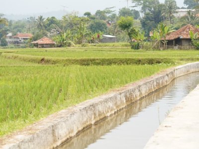 Mentan Amran: Percepat Lima Strategi Utama Mitigasi Kekeringan Hadapi El Nino
