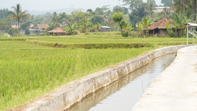 Mentan Amran: Percepat Lima Strategi Utama Mitigasi Kekeringan Hadapi El Nino