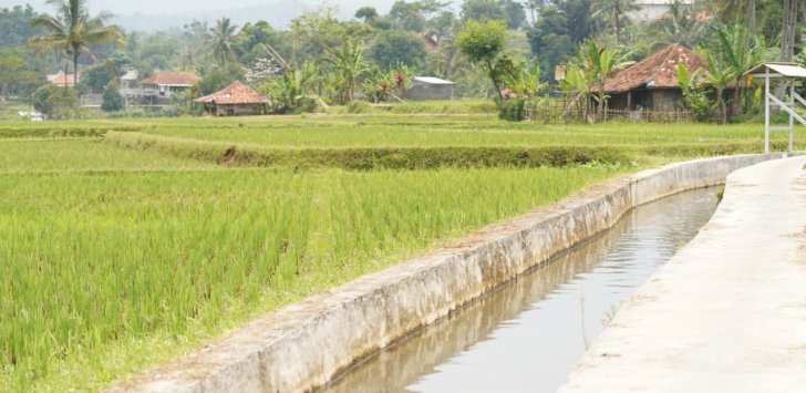 Mentan Amran: Percepat Lima Strategi Utama Mitigasi Kekeringan Hadapi El Nino
