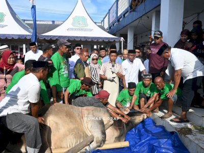 Bupati Sidrap Sembelih Langsung Sapi Kurban Bantuan Presiden Prabowo di Watang Pulu