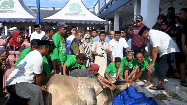 Bupati Sidrap Sembelih Langsung Sapi Kurban Bantuan Presiden Prabowo di Watang Pulu