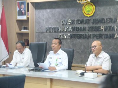 Kementan Gerak Cepat Stabilkan Harga Ayam Hidup, Asosiasi Peternak Siap Kawal di Lapangan