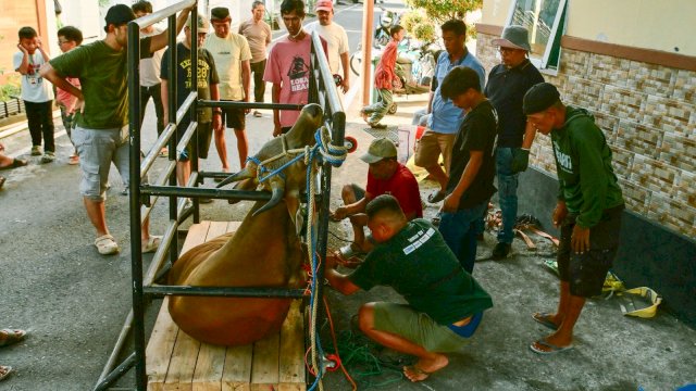 Suasana Penyembelihan Hewan Kurban di Masjid Al Ikhlas di Kompleks Prima Griya, Kelurahan Bitowa, Kecamatan Manggala, Kota Makassar. (Foto/Ist)