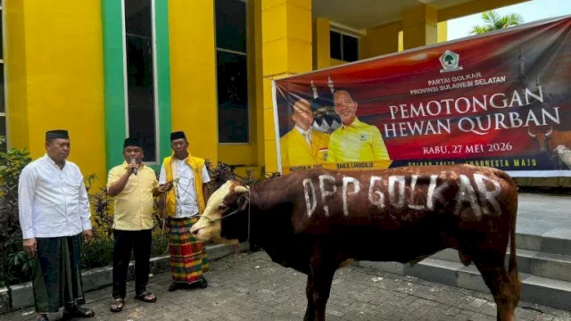 Penyerahan sapi kurban Ketua Umum DPP Partai Golkar Bahlil Lahadalia di Sekretariat DPD I Golkar Sulsel, Jalan Bontolempangan, Makassar, Rabu (27/5/2026). (Foto: Istimewa)