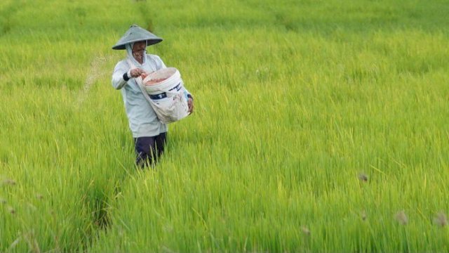NTP Mei 2026 Naik Jadi 127,73, Mentan Amran Sebut Pendapatan Petani Tumbuh Lebih Cepat dari Biaya Produksi