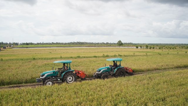 Mentan Amran Jawab Isu &ldquo;Pesta Babi&rdquo; di Merauke: Yang Kami Bangun Adalah Pesta Pangan