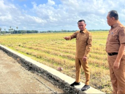 Alhamdulillah Bone 7,84 Persen Pertumbuhan Ekonomi Triwulan I 2026