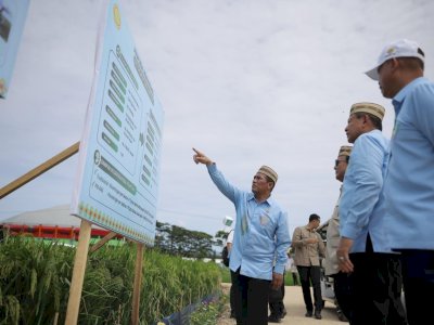 Di Hadapan 100 Ribu Petani dan Nelayan seluruh Indonesia di PENAS XVll, Presiden Prabowo Pastikan Swasembada Pangan Berkelanjutan