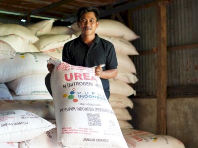 Pupuk Subsidi Aman, Produksi Beras Indonesia Naik di Tengah Ancaman Krisis Pangan Global