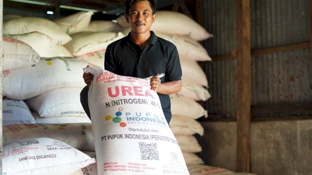 Pupuk Subsidi Aman, Produksi Beras Indonesia Naik di Tengah Ancaman Krisis Pangan Global