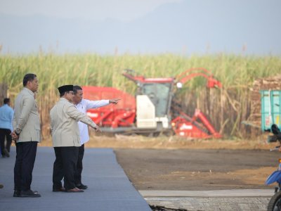 Presiden Prabowo Targetkan Swasembada Gula Tercapai dalam Dua Tahun, Mentan Amran Siap Percepat Program Peremajaan Tebu