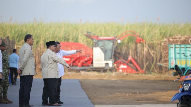 Presiden Prabowo Targetkan Swasembada Gula Tercapai dalam Dua Tahun, Mentan Amran Siap Percepat Program Peremajaan Tebu