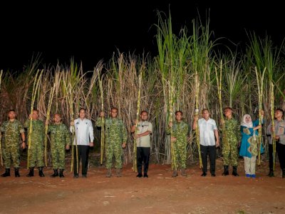 Gubernur Sulsel Hadiri Panen Raya Tebu Bersama TNI, Tegaskan Dukungan pada Program Presiden Prabowo