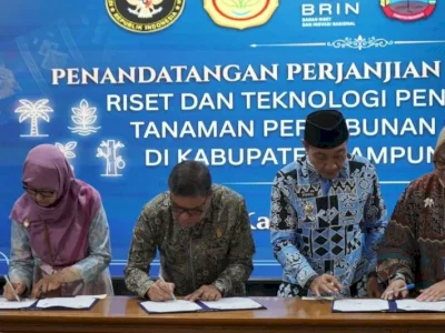 Lampung Selatan Jadi Sentra Riset Bibit Unggul, PTPN I Ambil Peran Strategis