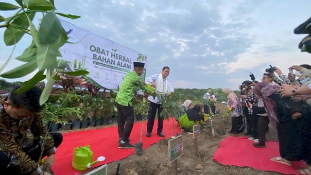 Taruna Ikrar Kepala BPOM Resmikan Pusat Tanaman Obat bahan alam di Palembang, Perkuat Konsep ABG