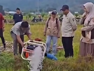Selamatkan Lahan Pertanian di 24 Kabupaten Kota, Gubernur Sulsel: Tim Sudah Lakukan Pompanisasi di Lapangan
