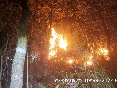 BMKG Peringatkan El Nino Kuat, Gubernur Sulsel Minta Warga Waspada Karhutla
