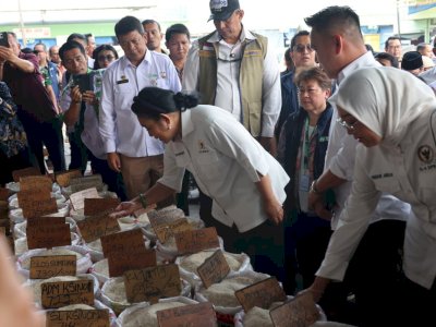 Komisi IV DPR Pastikan Stok Beras Aman, Produksi Padi 2026 Terjaga