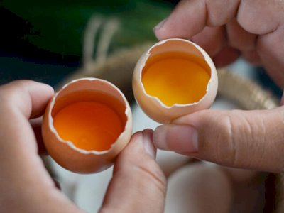 Mengenal Nutrisi Telur Omega-3 Sumber Protein Hewani Baik bagi Otak hingga Jantung
