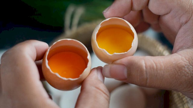 Mengenal Nutrisi Telur Omega-3 Sumber Protein Hewani Baik bagi Otak hingga Jantung