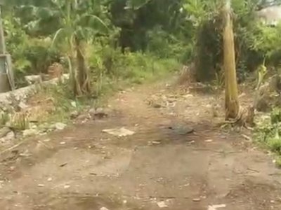 Dituding Bekingi Sabung Ayam, Polsek Manggala Langsung Turun Tangan dan Beri Klarifikasi Tegas